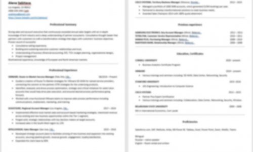 Alena Sabitova CV